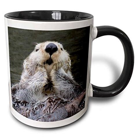 sea otter gifts|otter gifts merchandise.